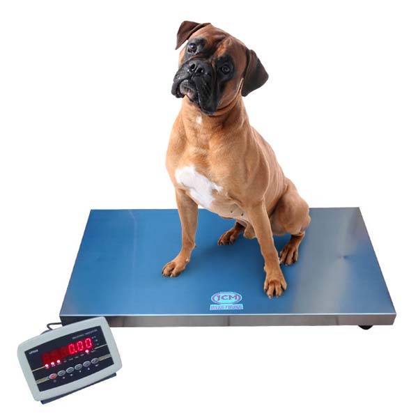 Bascula uso veterinario