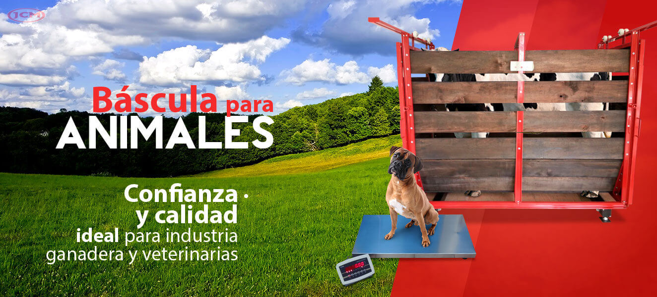 Bascula ganadera y porcina
